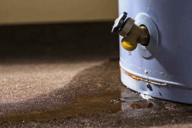 Best Basement water damage restoration  in Breinigsville, PA