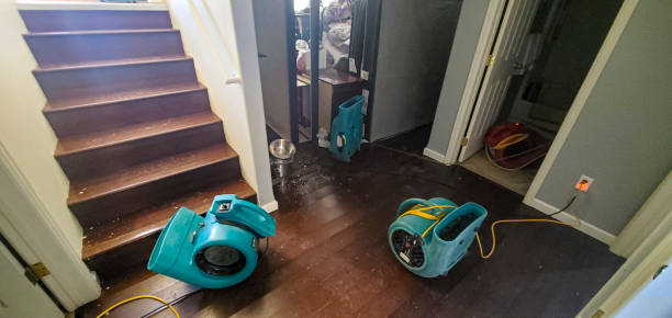 Best Local water damage restoration  in Breinigsville, PA