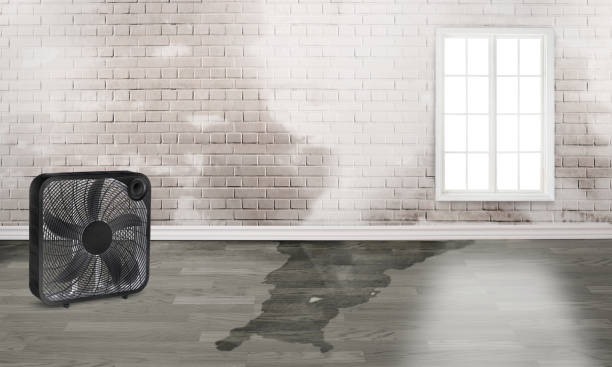 Best Water damage repair service  in Breinigsville, PA