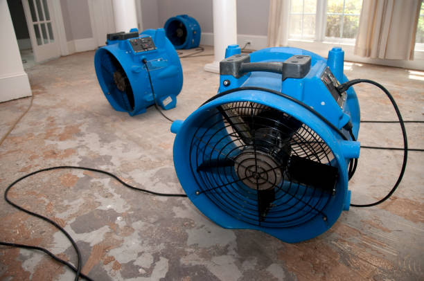 Best Water damage restoration specialists  in Breinigsville, PA