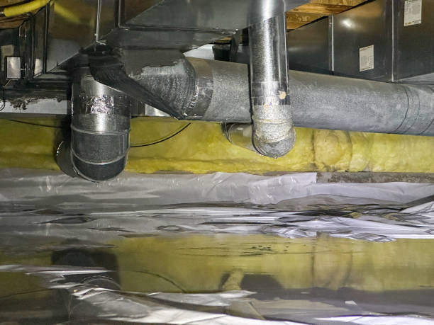 Best Water damage contractors near me  in Breinigsville, PA
