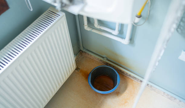 Best Water damage cleanup near me  in Breinigsville, PA