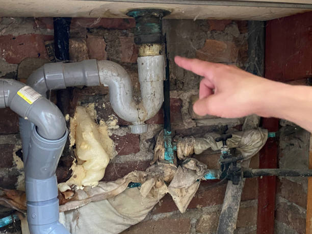 Best Fire Damage Restoration  in Breinigsville, PA