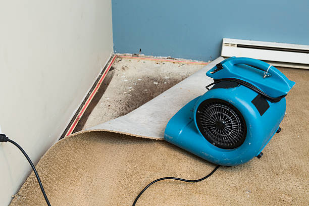 Best Water damage restoration near me  in Breinigsville, PA